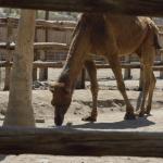 FITS_173 (May 04, 2019)